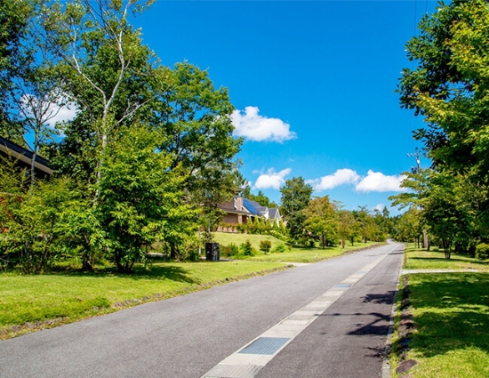 両側に緑が広がる舗装された道路の静かな風景