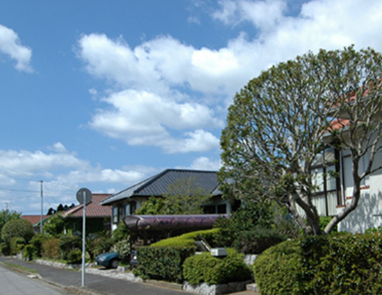 豊かな緑に囲まれた住宅街