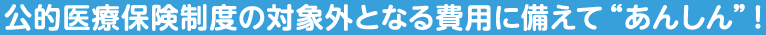 公的医療保険制度の対象外となる費用に備えて “あんしん” ！