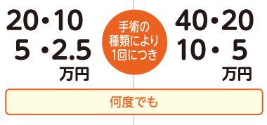 手術の種類により1回につき20・10・5・2.5万円　40・20・10・5円