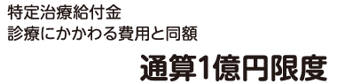 特定治療給付金診療にかかわる費用と同額　通算1億円限度