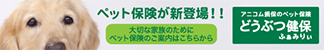 ペット保険が新登場！！大切な家族のためにペット保険のご案内はこちらから アニコム損保のペット保険 どうぶつ健保ふぁみりぃ