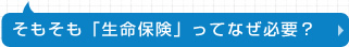 そもそも「生命保険」ってなぜ必要？