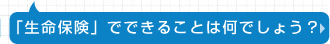 「生命保険」」でできることは何でしょう？