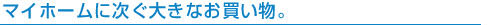 マイホームに次ぐ大きなお買い物。