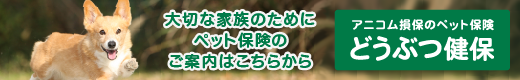 大切な家族のためにペット保険のご案内はこちらから アニコム損保のペット保険 どうぶつ健保